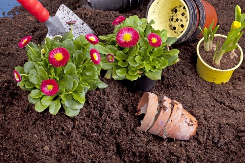 Garden design and build project for an Earlscourt home with paving and planting