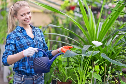 Landscaping team introducing a carefully designed Earlscourt front yard