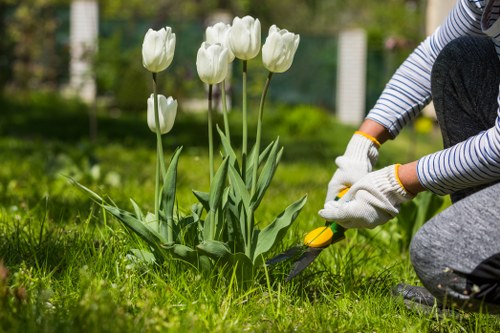 Inclusive digital access for Landscaping Earlscourt visitors