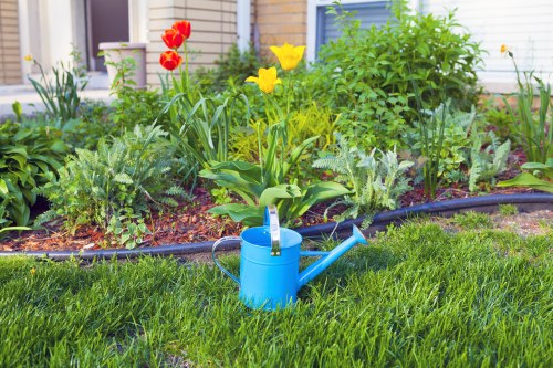 Landscaping Earlscourt front yard design with plants and pathways
