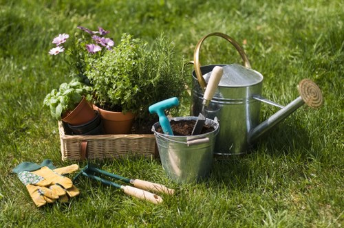 Earlscourt garden design with structured planting and clean edges