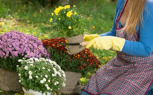 Garden transformation materials and planting layout for landscaping service