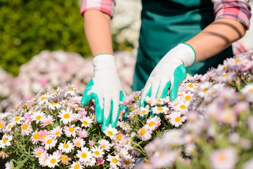 Example landscaping job pricing for a semi-detached home in Earlscourt