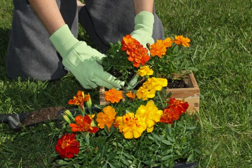 Professional garden makeover project in Earlscourt with practical finishes