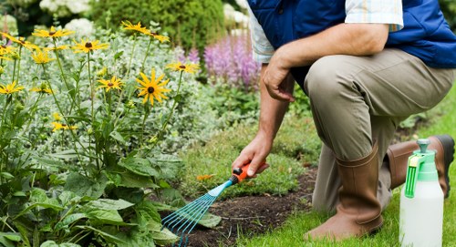 Neat fresh lawn installation for a compact Earlscourt courtyard or backyard