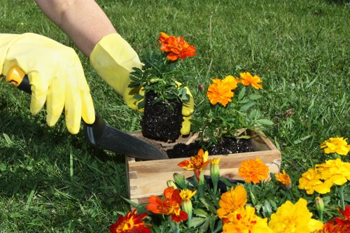 Staff using protective equipment during landscaping tasks