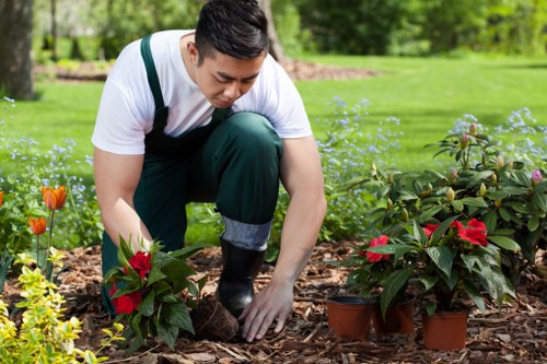 Visual cue representing screen-reader friendly landscaping information