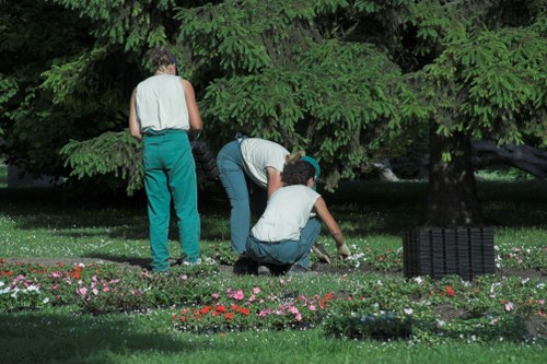 A balanced landscaping project showing plants, pathways, and hardscape details