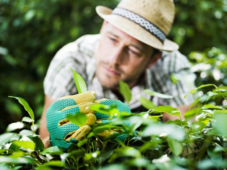 Local garden makeover work suited to Earlscourt properties
