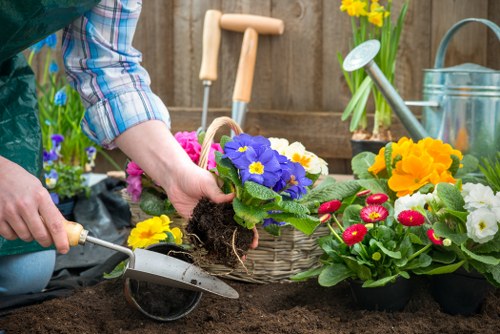 Accessible website review for landscaping content in Earlscourt