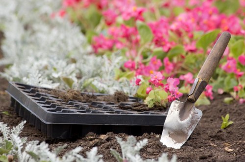Site inspection for landscaping work and quotation preparation