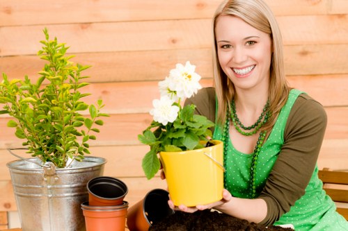 Outdoor garden design ideas suitable for Earlscourt homes and businesses