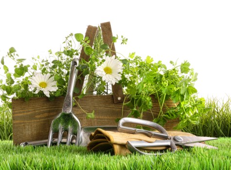 Tidy landscaped work area with tools stored safely