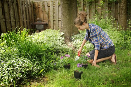 Soft landscaping preparation in Earlscourt with soil improvement and new planting areas