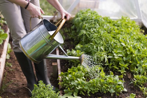 Earlscourt landscaping with layered garden beds and seasonal flowers