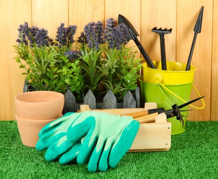 Local Earlscourt soft landscaping featuring turfing and border planting